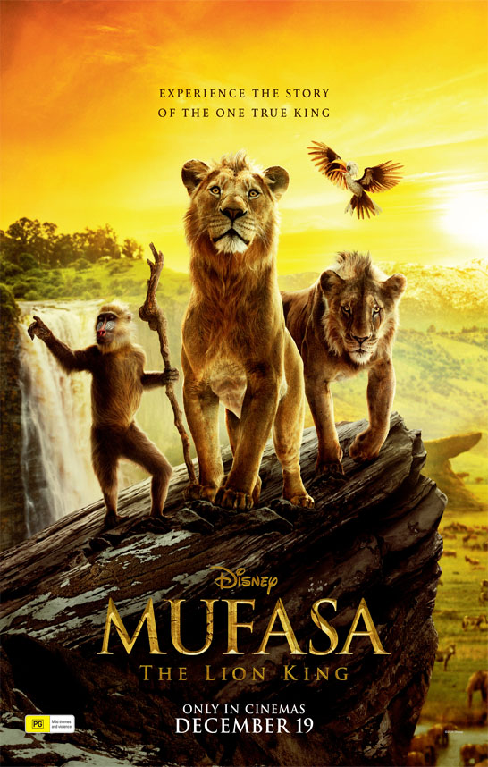 In cinemas now shop