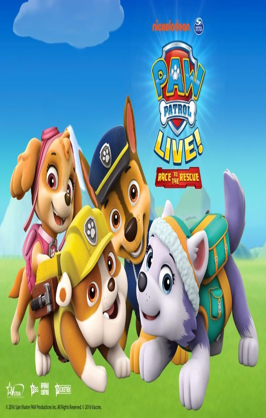 PAW PATROL: Ready Race Rescue