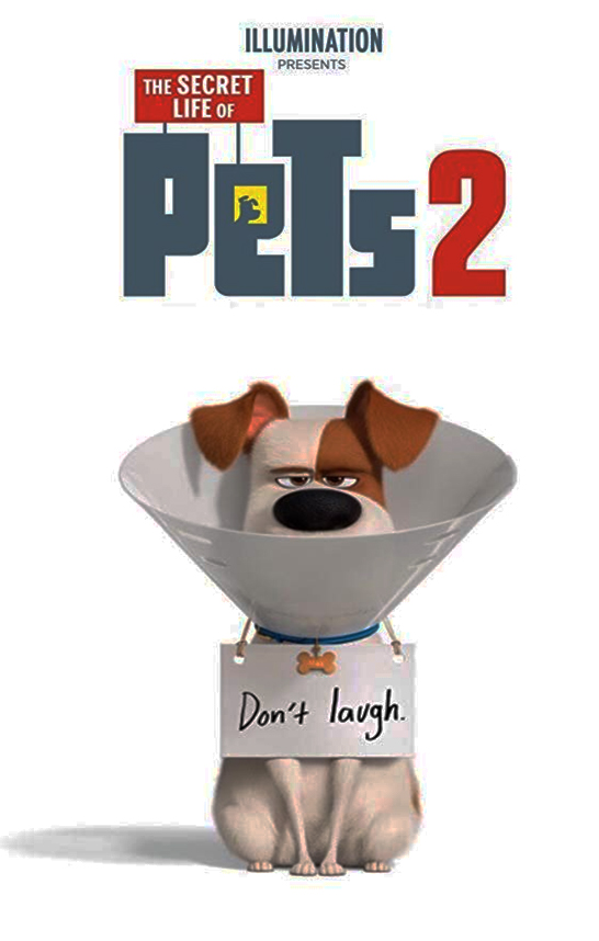 The Secret Life of Pets 2